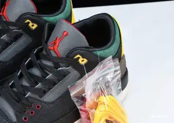 CV3583-003 3 “ANIMAL SE INSTINCT JORDAN AIR 2.0” 0619